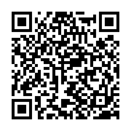 QR code for IJGE13