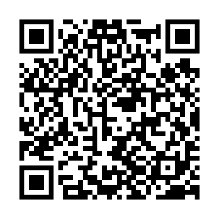 QR code for IJGV91
