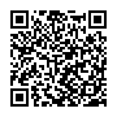 QR code for IJJ300