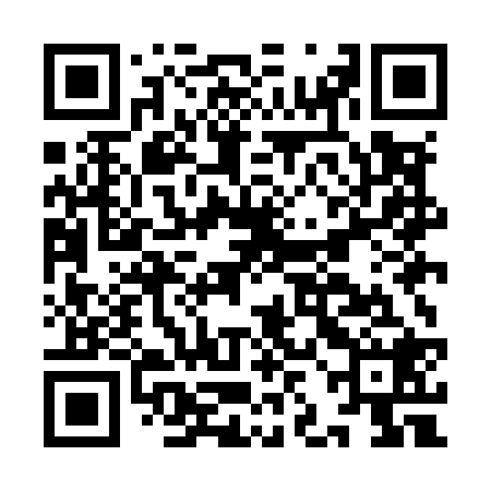 QR code for IJMM28
