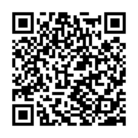 QR code for IJN518