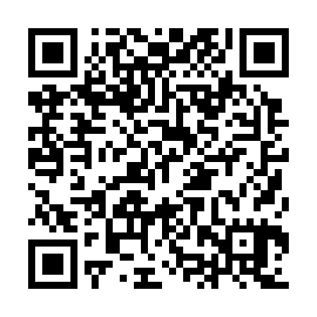 QR code for IJP325