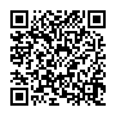 QR code for IJQH16
