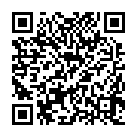 QR code for IJR298