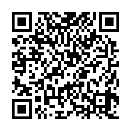 QR code for IJR339