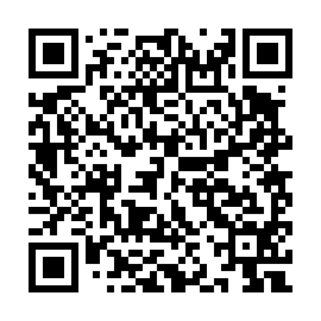 QR code for IJR494
