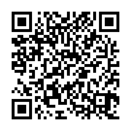 QR code for IJSQ20