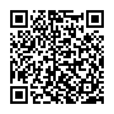 QR code for IJSX23