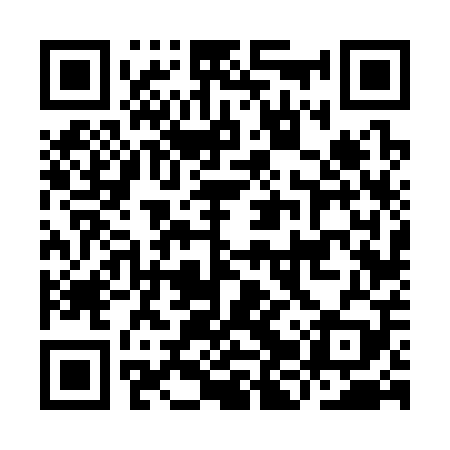 QR code for IJV309