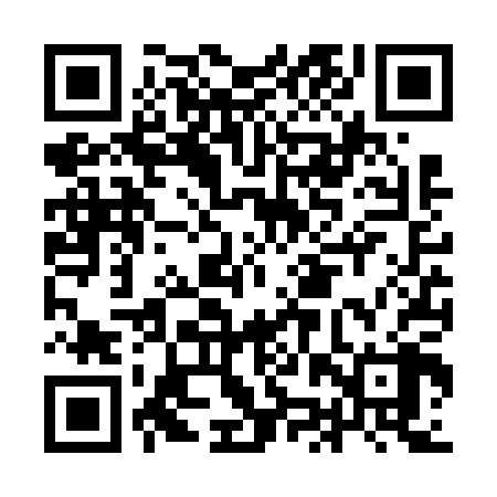 QR code for IJVV08