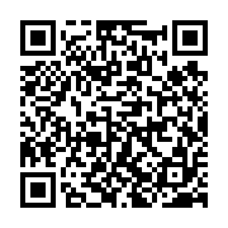 QR code for IJVV12