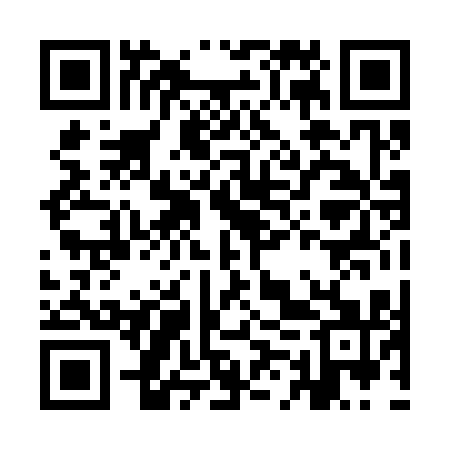 QR code for IMP311