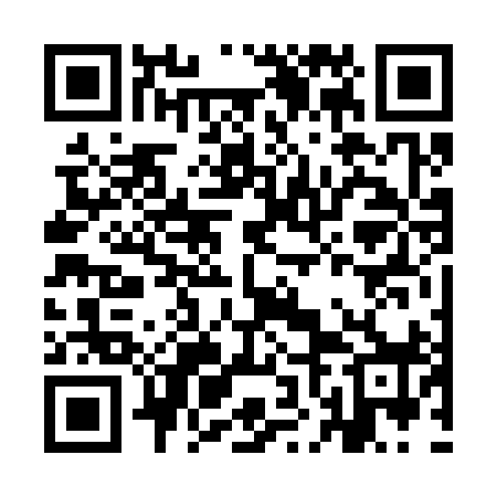 QR code for INF398