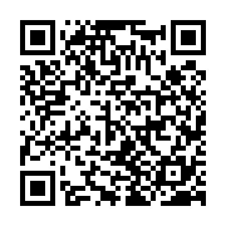 QR code for INF535