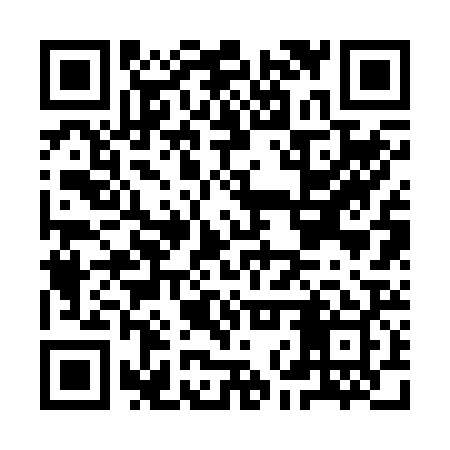 QR code for INR229