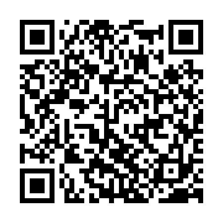 QR code for INS233