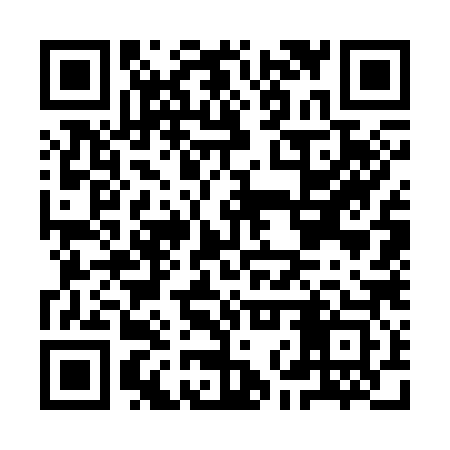 QR code for INW383