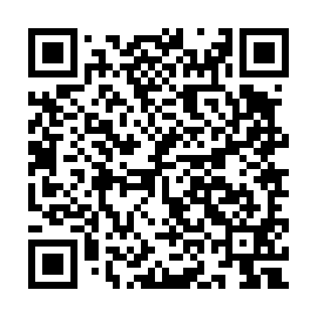 QR code for IOJ491