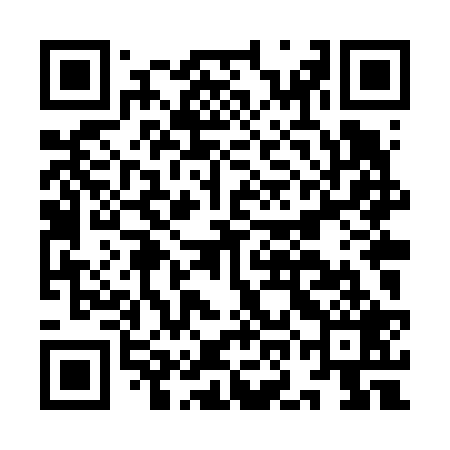 QR code for IOLV29