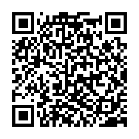 QR code for IPFS11