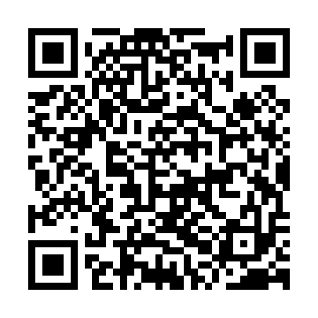 QR code for IPJP13