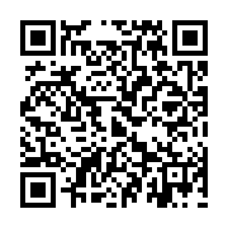QR code for IPL385