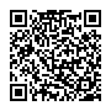 QR code for IPM295