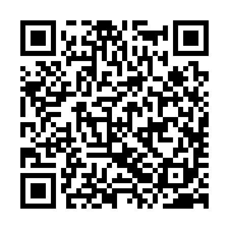 QR code for IRB391