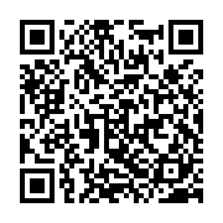 QR code for IRBM20