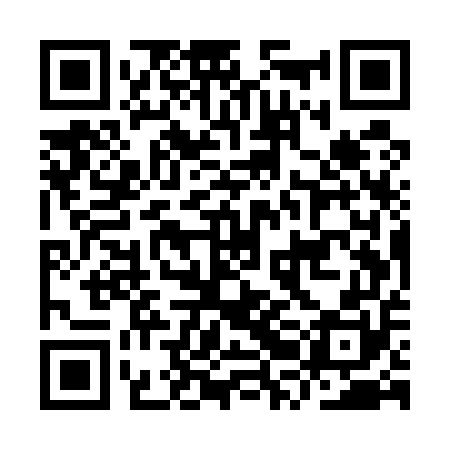 QR code for IREU50