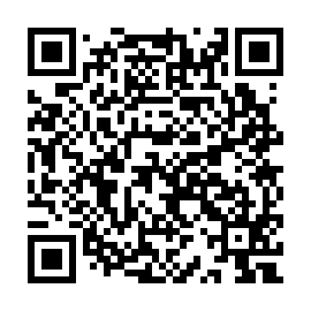 QR code for IRS395