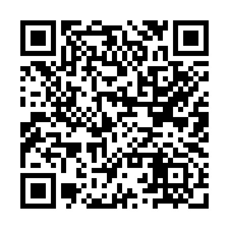 QR code for IRY393