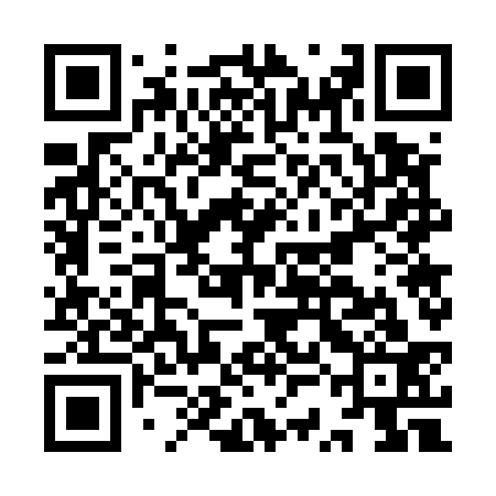 QR code for ISG533