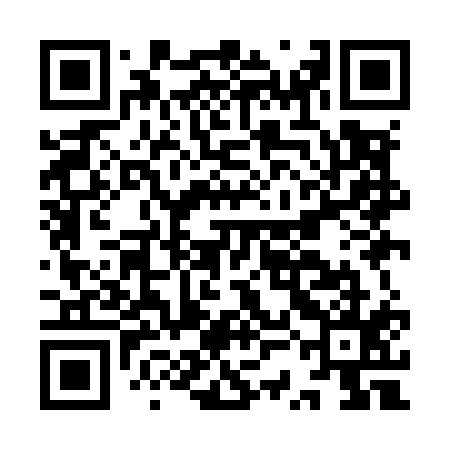 QR code for ISIM15