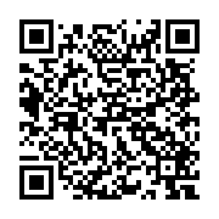 QR code for ISSO49