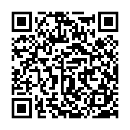 QR code for IUDP22
