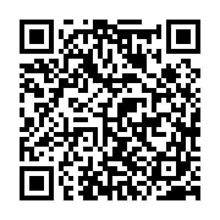 QR code for IVH163