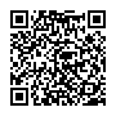 QR code for IVMA29