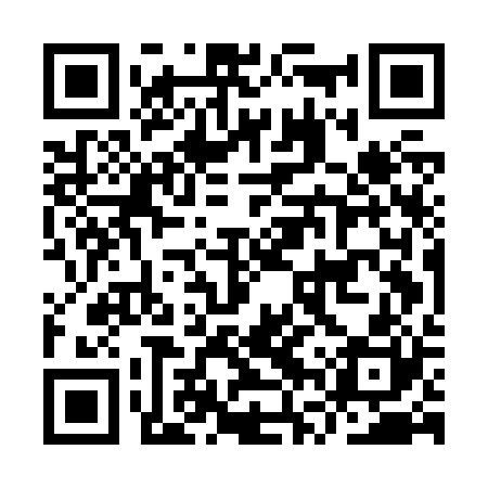 QR code for IVUJ20