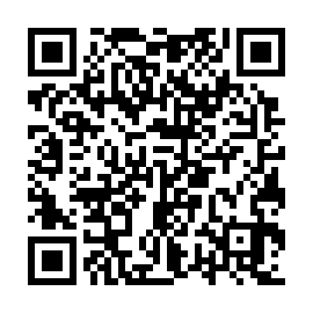 QR code for IWG333