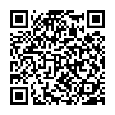 QR code for IWGE29