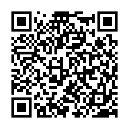 QR code for IWI333