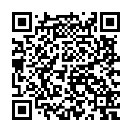 QR code for IYEM29