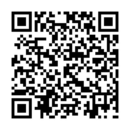 QR code for IYU384