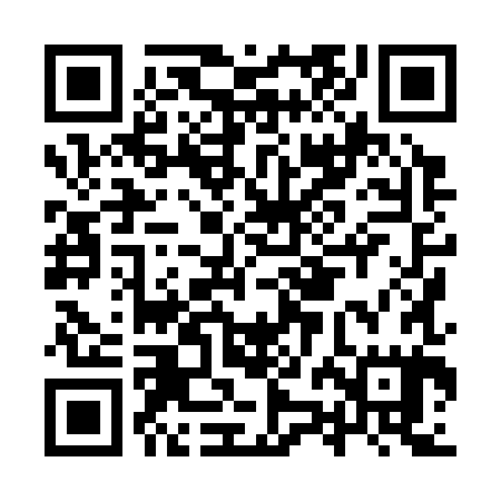QR code for IZH385