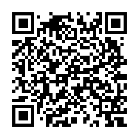 QR code for IZSV94