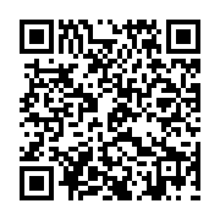 QR code for JOYZ29