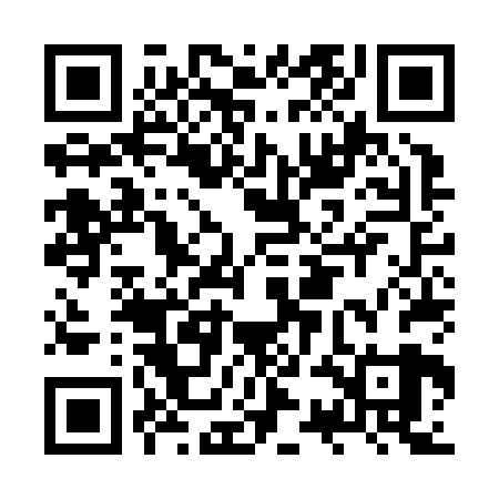 QR code for JSOJ29
