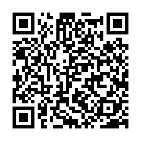 QR code for JST228