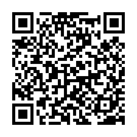 QR code for LAG481